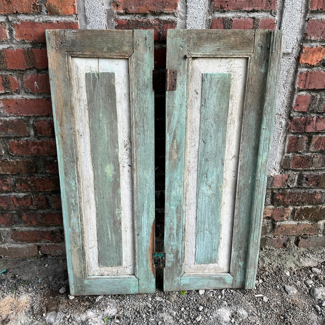 Vintage Doors #36 (set of 2 doors)